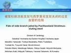 [EuroPCR2009]被紫杉醇洗脱支架与西罗莫司支架关闭的边支血管的结局